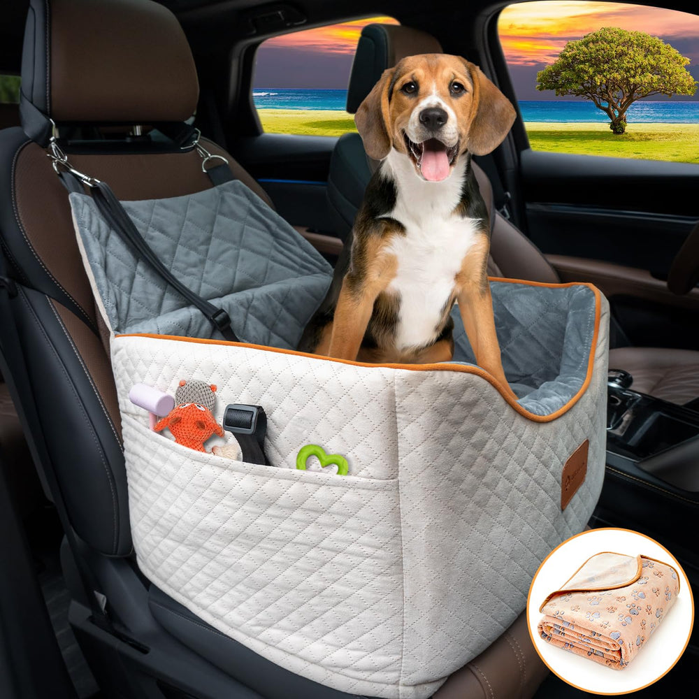 AlfaTok memory foam booster seat front view showing elevated view for small dogs