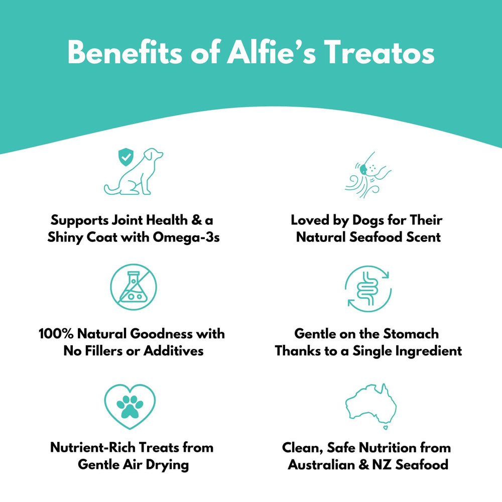 ALFIE'S TREATOS air-dried mussels closeup—aroma and texture for chewing.