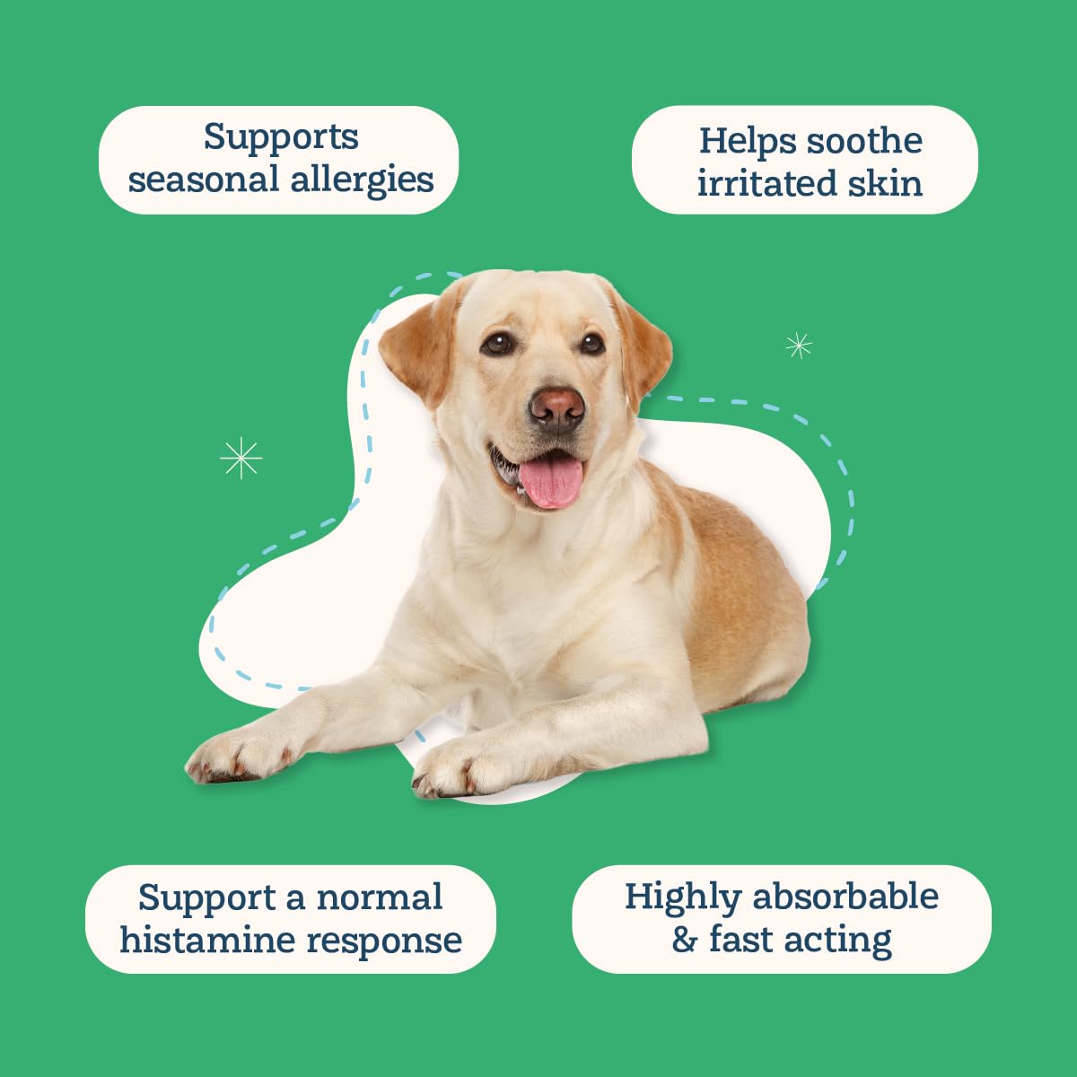 Alice & Eli Quercetin for Dogs bromelain closeup highlights the supporting ingredient.