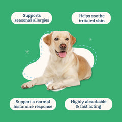 Alice & Eli Quercetin for Dogs bromelain closeup highlights the supporting ingredient.