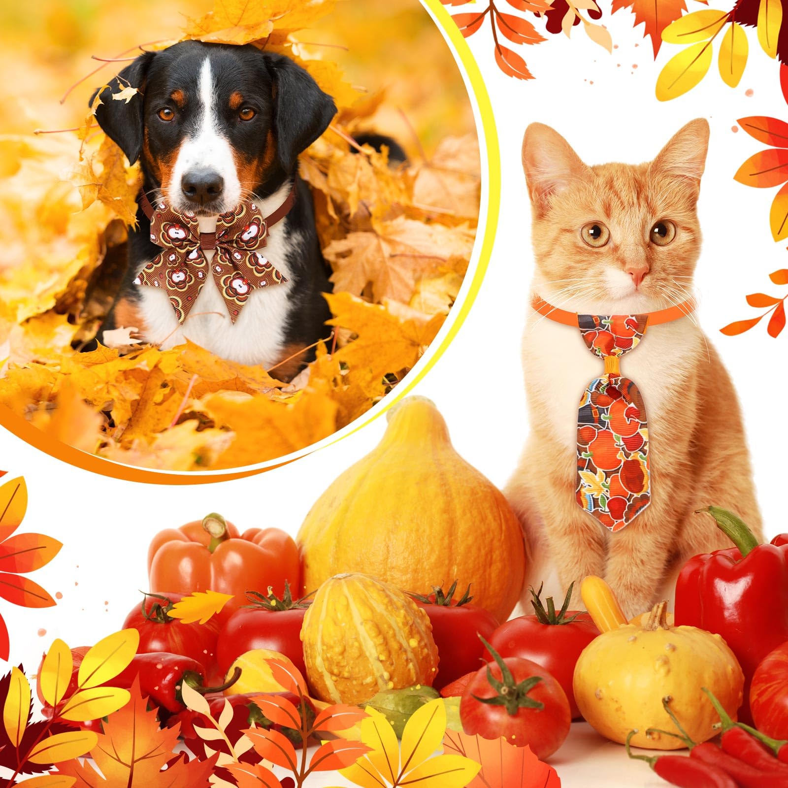 Aliceset large Thanksgiving bow tie designed for bigger pets at family gatherings.