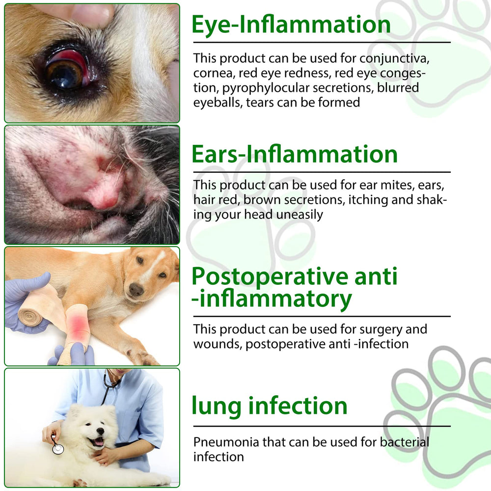 ALIVO antibiotics for dogs goldenseal illustration indicates herbal blend