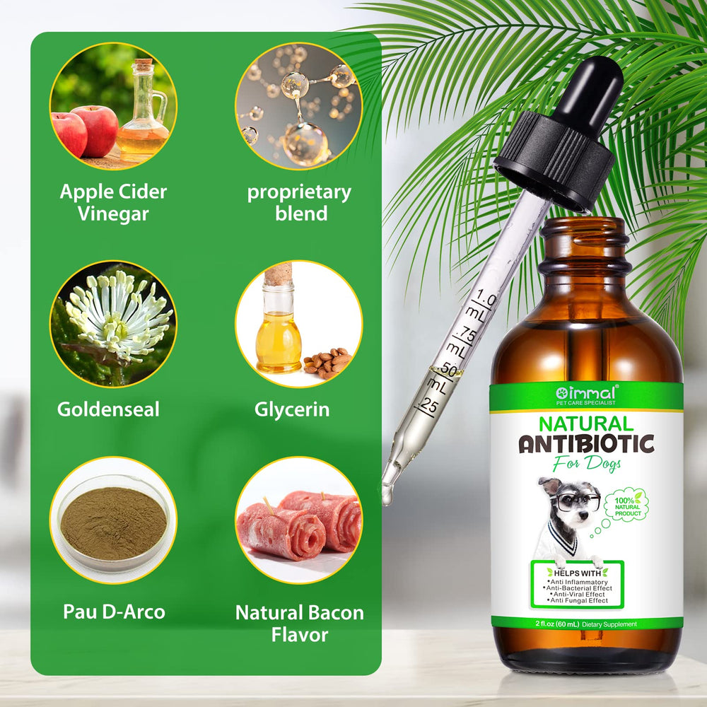 ALIVO antibiotics for dogs ingredient panel highlights safe herbal components