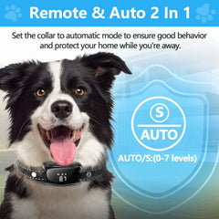 ALKD dog bark collar auto-mode image highlights automatic gentle cues.
