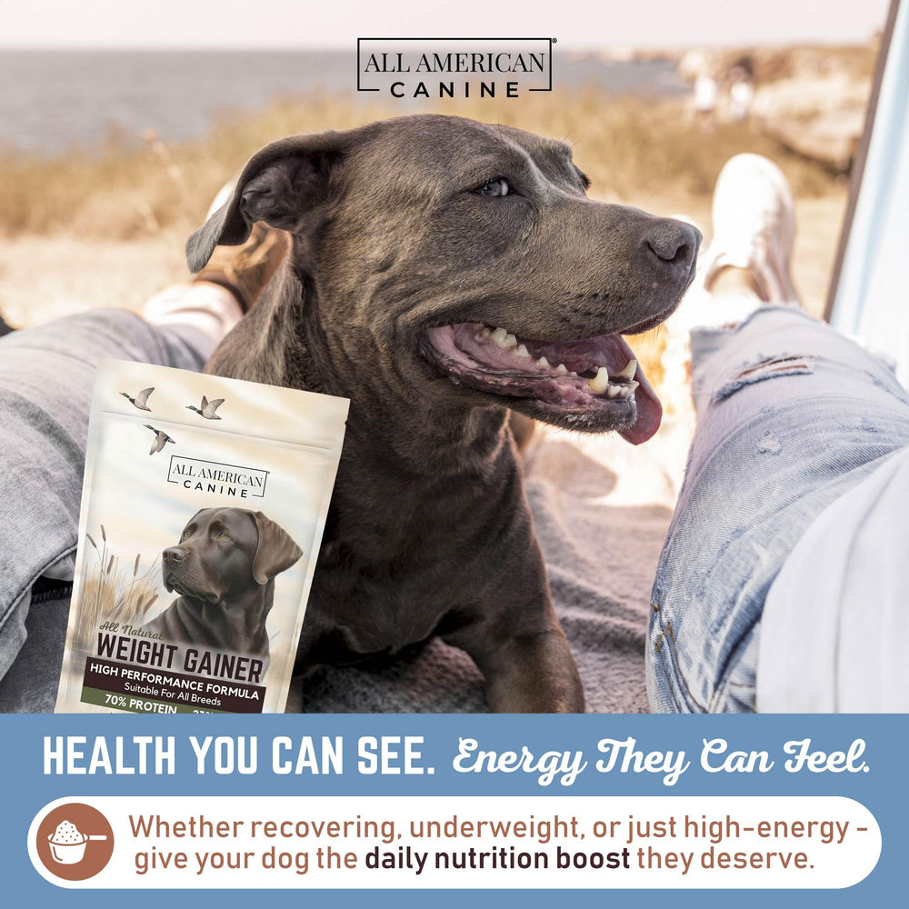 All American Canine weight gainer being mixed into dog bowl during feeding time.
