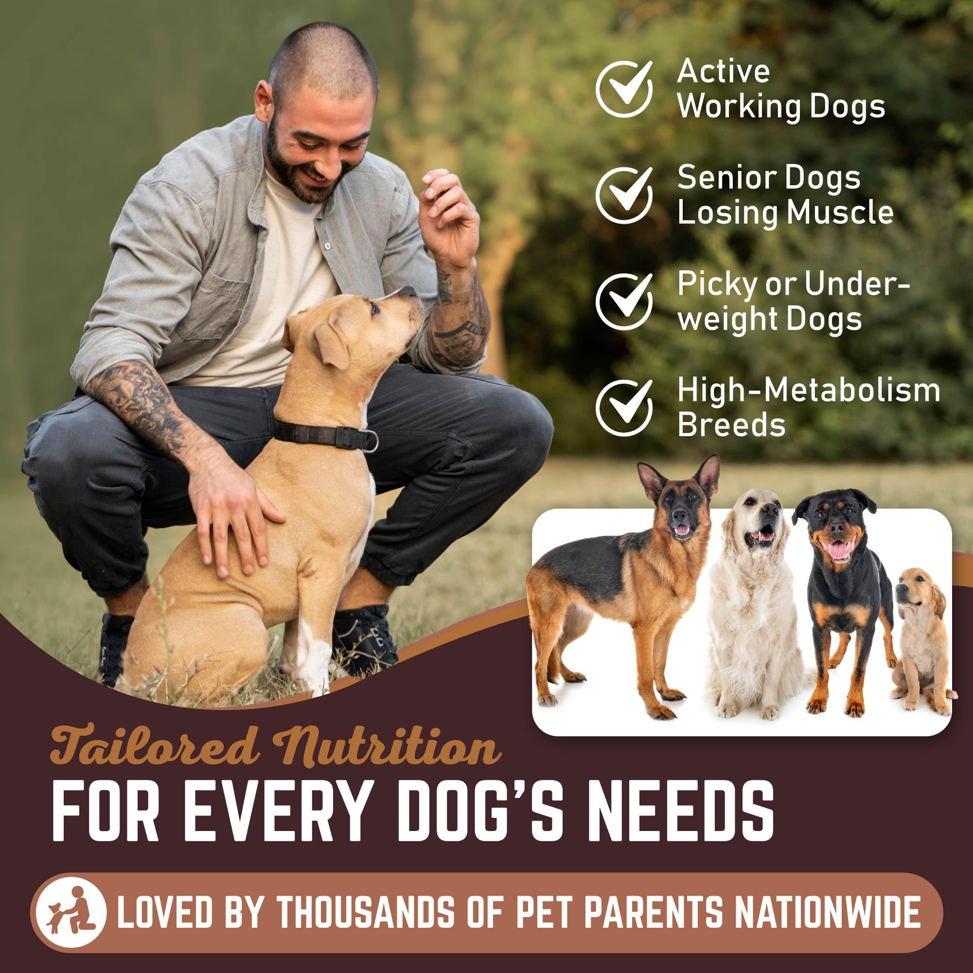 All American Canine weight gainer powder texture close-up highlighting rich, creamy consistency.