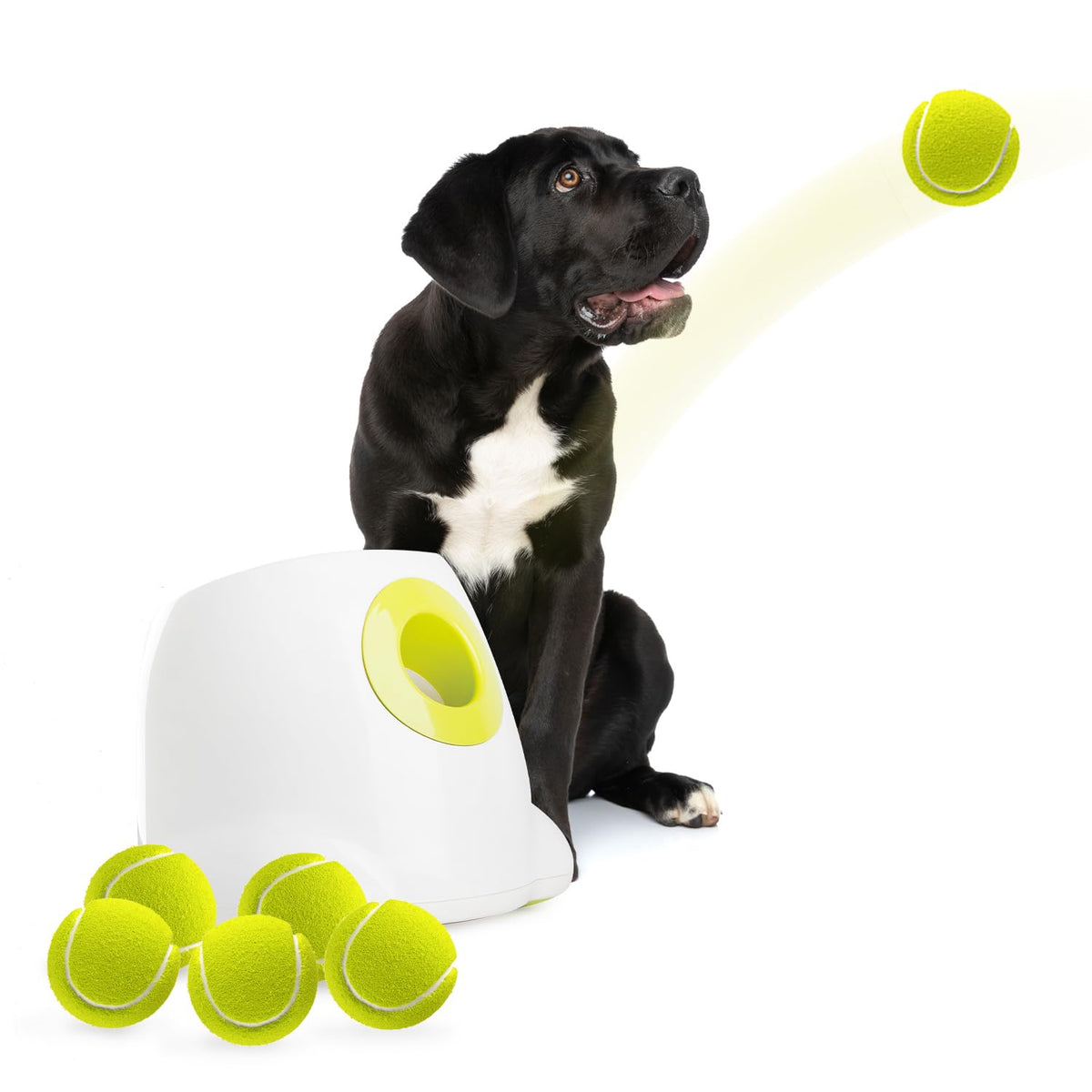 ALL FOR PAWS automatic dog ball launcher Maxi front view for large dogs