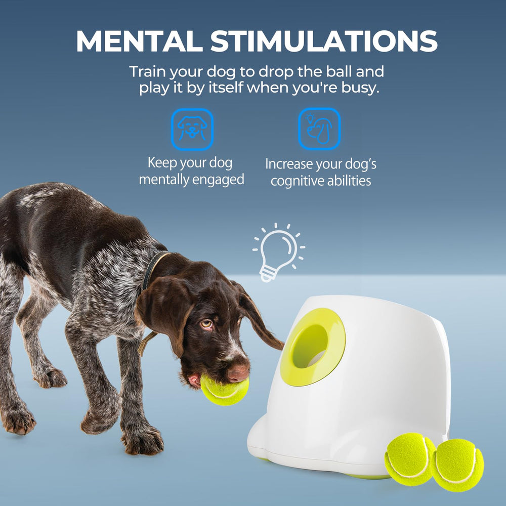 ALL FOR PAWS Maxi side-angle view showing compact setup for home play