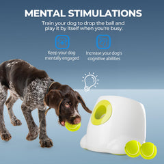 ALL FOR PAWS Maxi side-angle view showing compact setup for home play