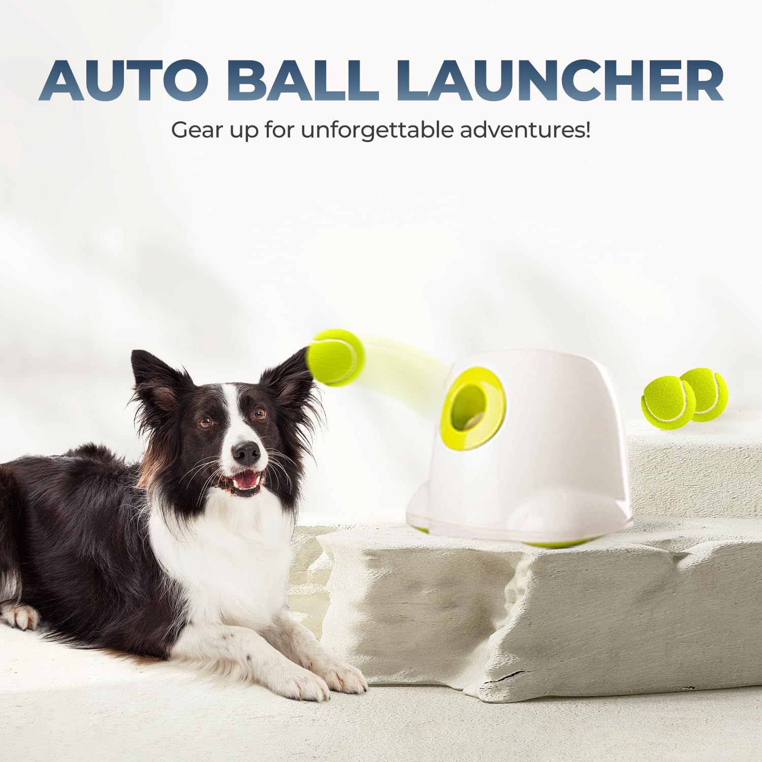 All For Paws height guidance for safe ball insertion during use
