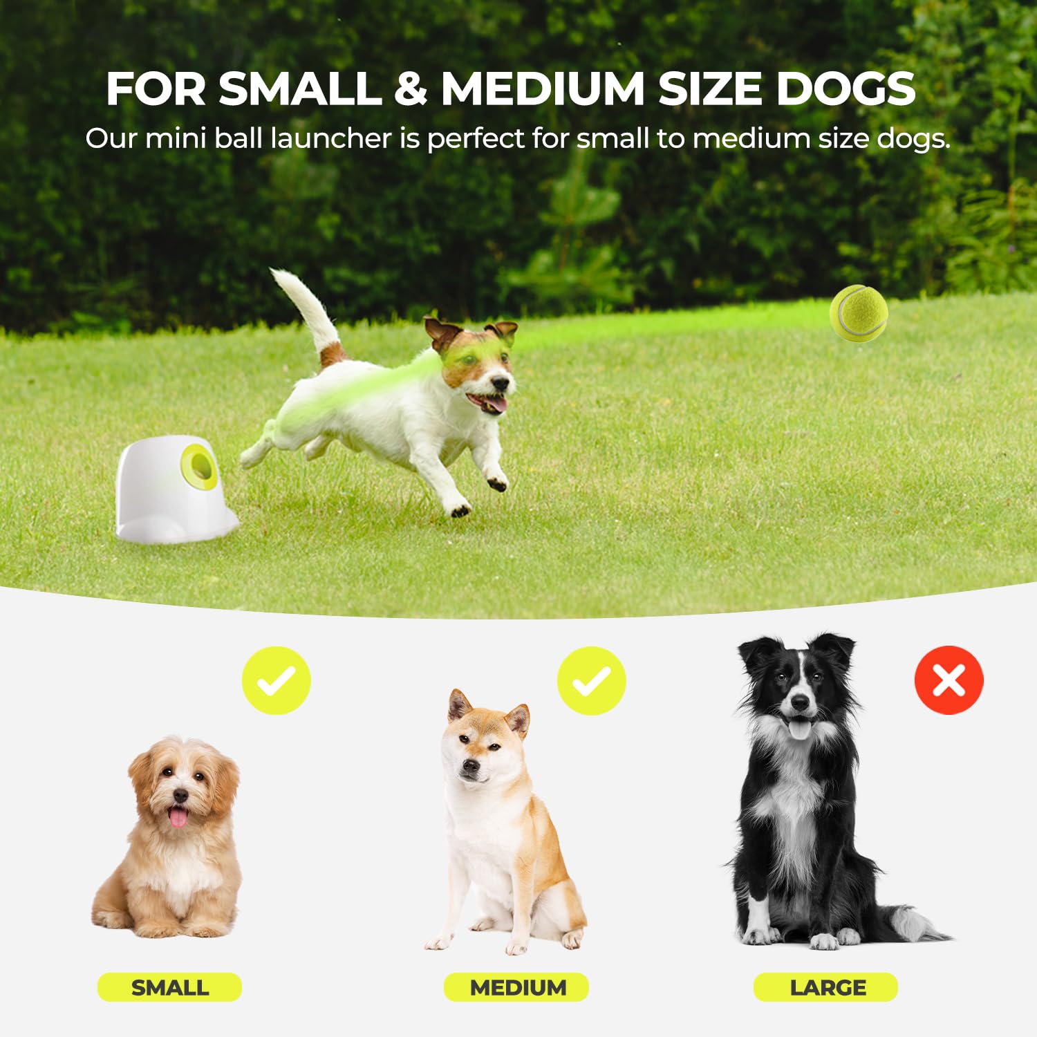 ALL FOR PAWS 3 included 2-inch balls ensure ready-to-play sessions.