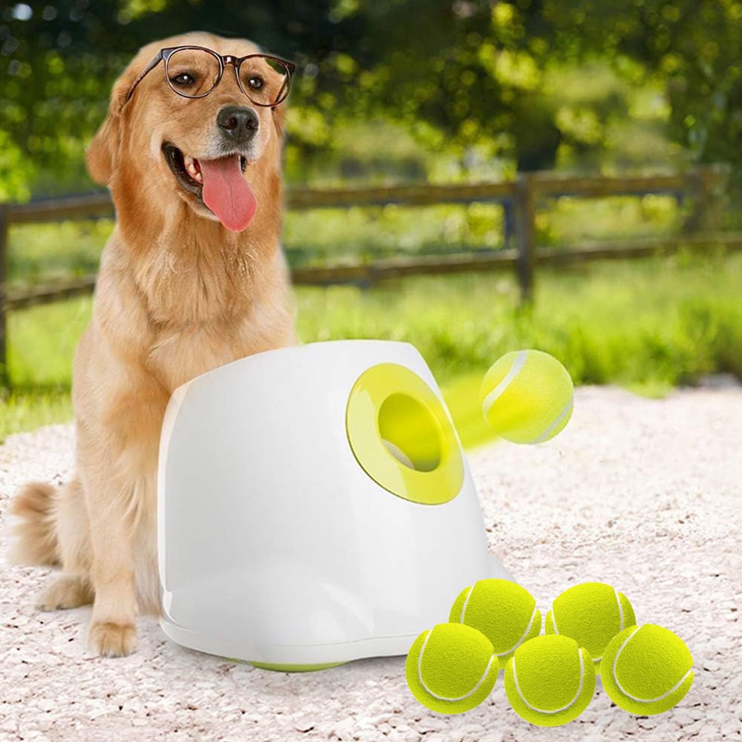 All For Paws ball launcher in backyard action for endless fetch.