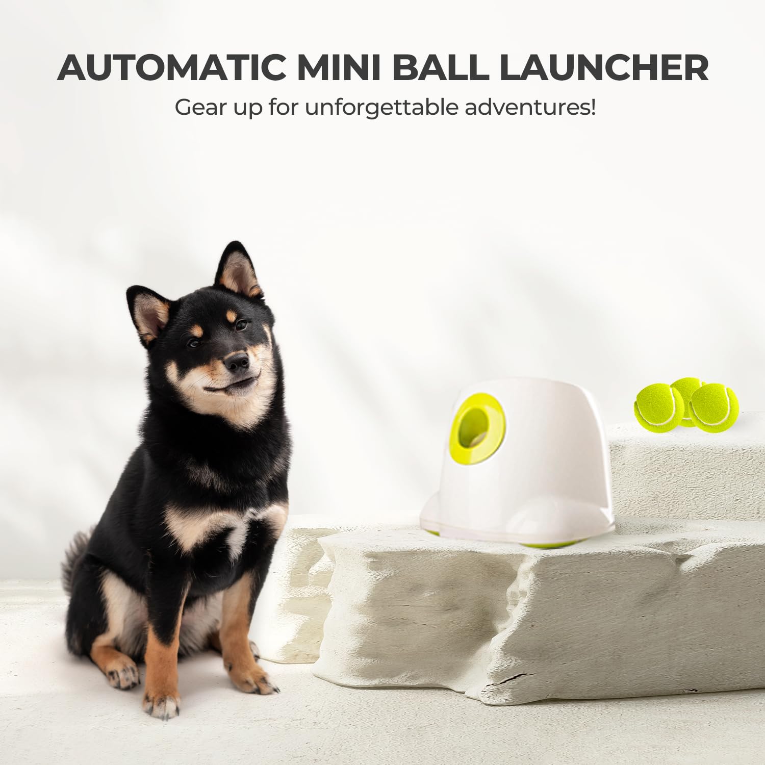 ALL FOR PAWS Compact design fits indoors for small-to-medium dogs.