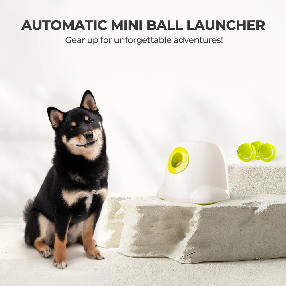 ALL FOR PAWS Compact design fits indoors for small-to-medium dogs.