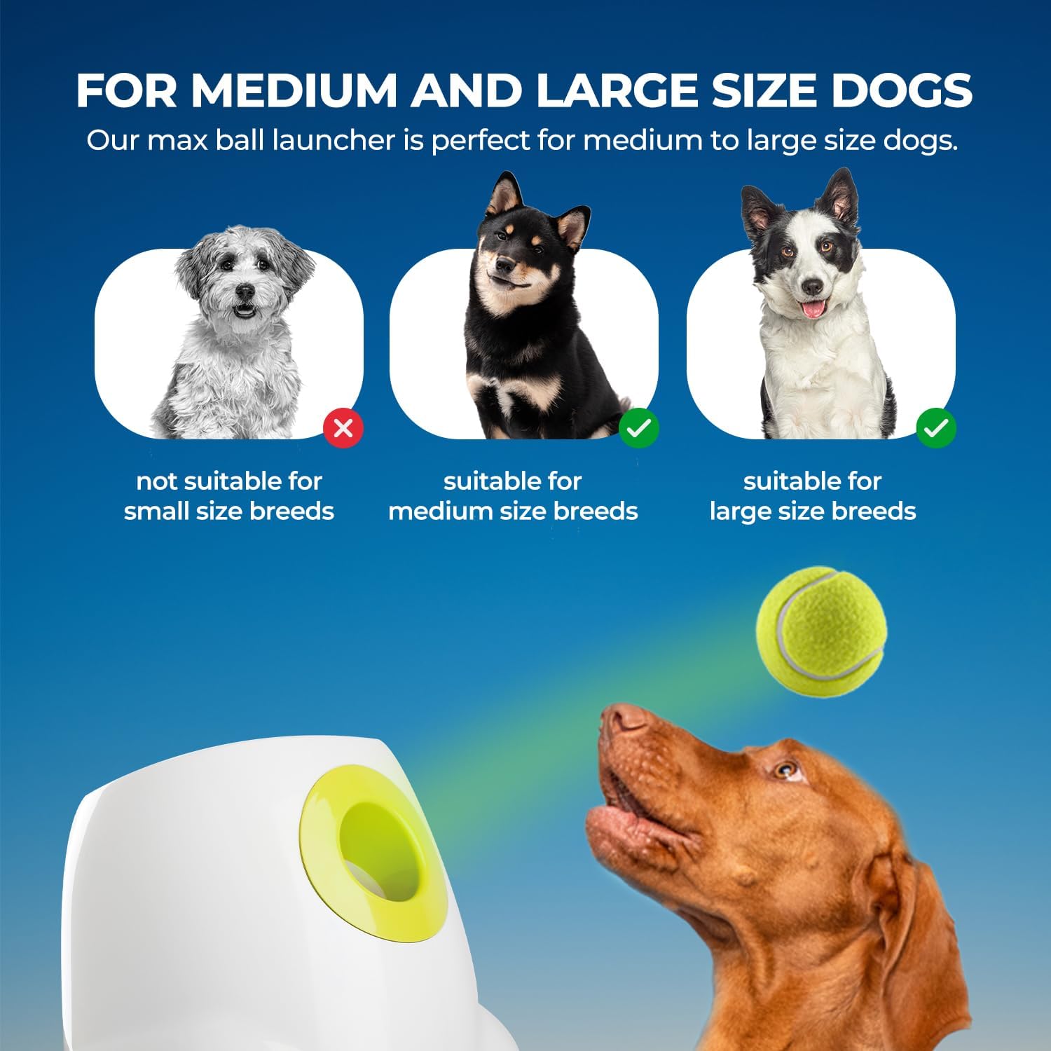 All For Paws compact design fits small spaces and outdoors.