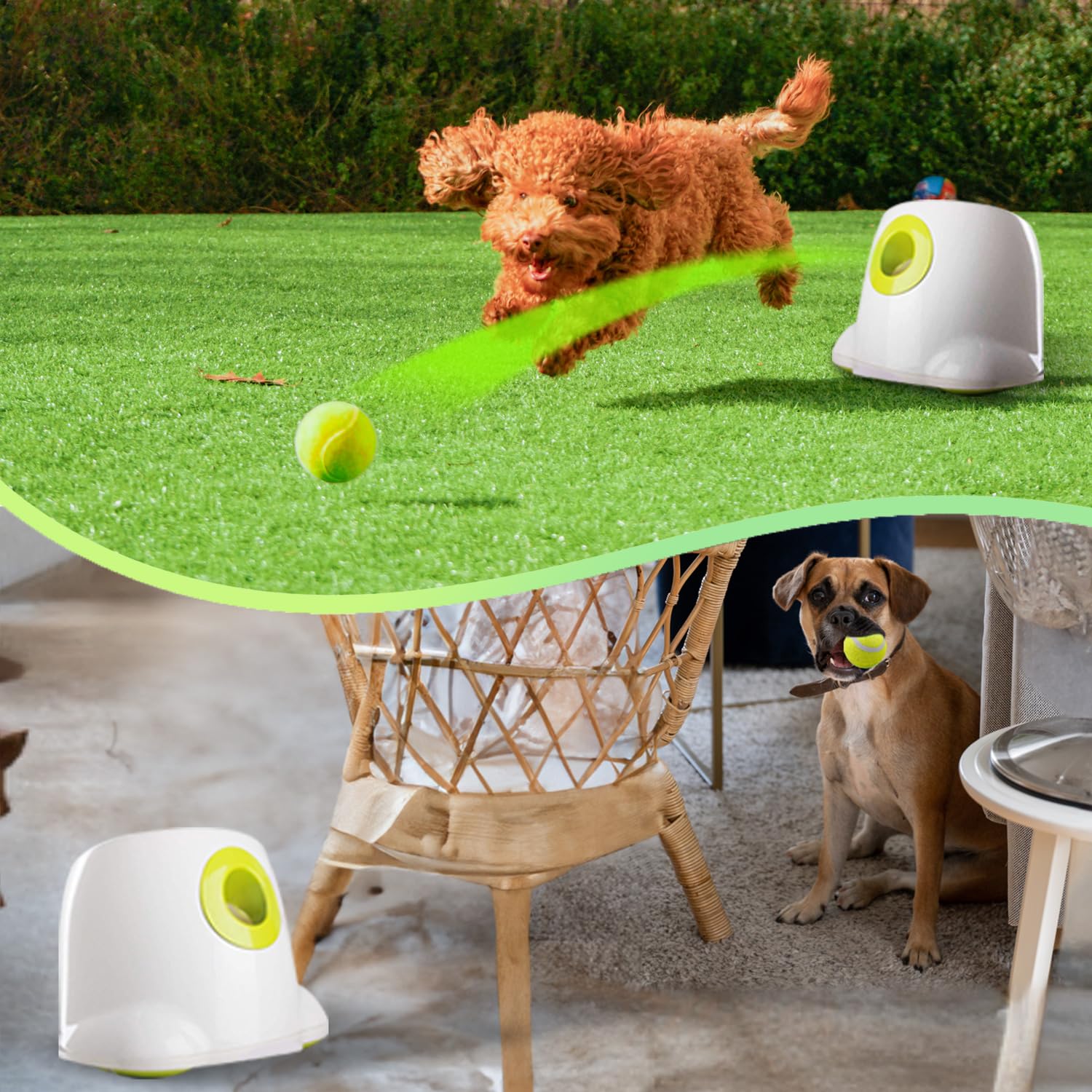 ALL FOR PAWS ball launcher in indoor fetch action.