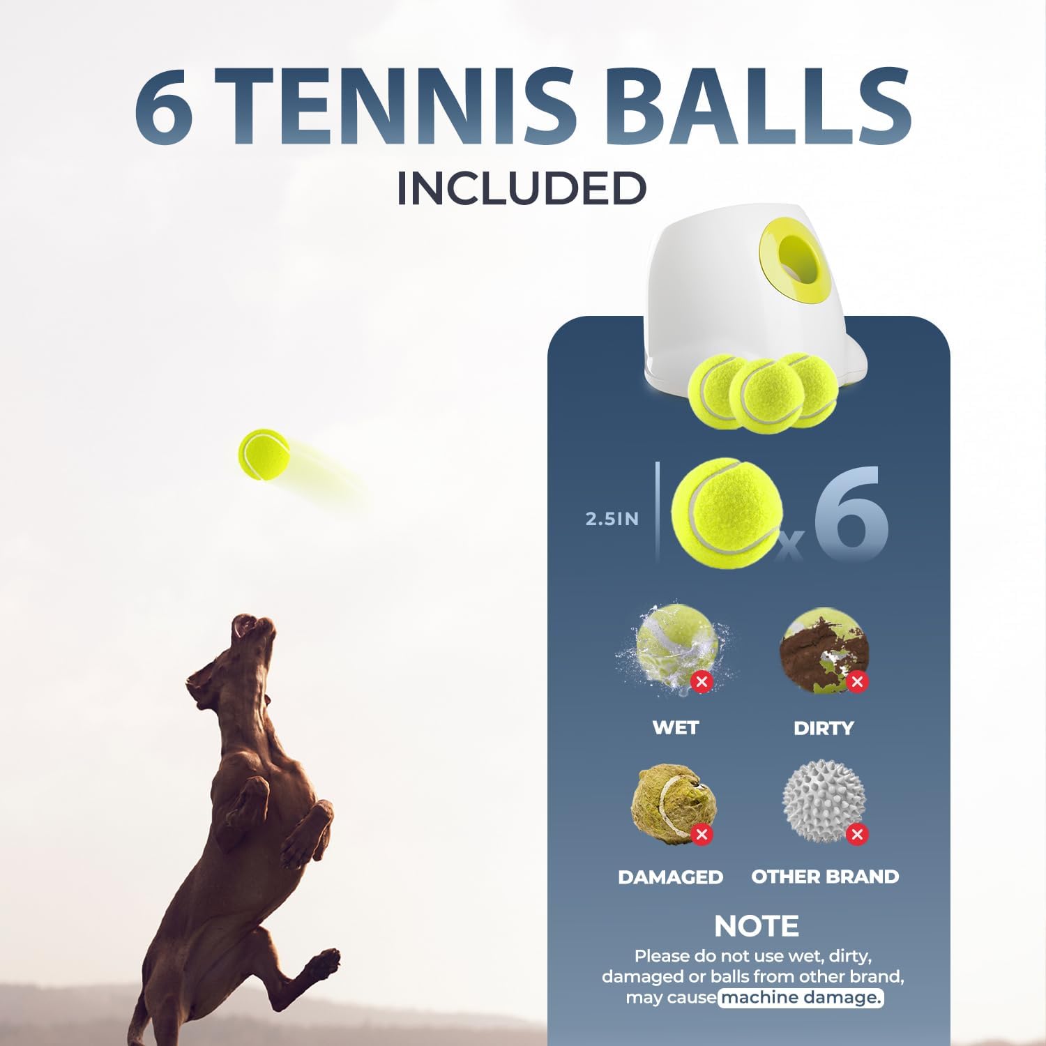All For Paws launcher for indoor and outdoor use promotes activity.