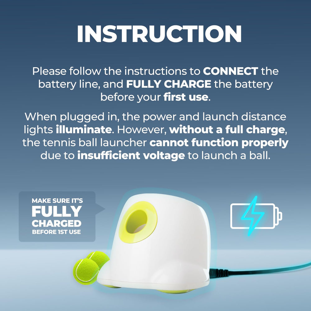 ALL FOR PAWS Maxi breaks reminder helps safe play