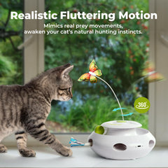 All For Paws cat-toy butterfly-flutter offers lifelike flutter to trigger hunting instincts