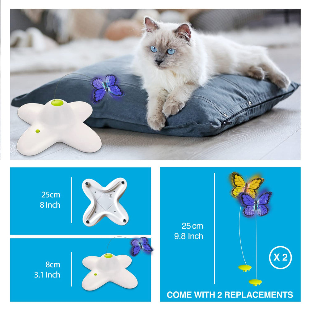 ALL FOR PAWS divertirse-en-casa-mariposa: mejora la calidad de vida felina con juego regular.