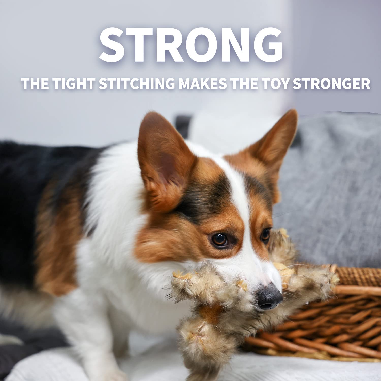 ALL FOR PAWS brown rabbit toy makes a thoughtful gift for dogs.