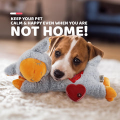 ALL FOR PAWS Heart Beat Toy crate-training-use supports comforting routines during crate time.