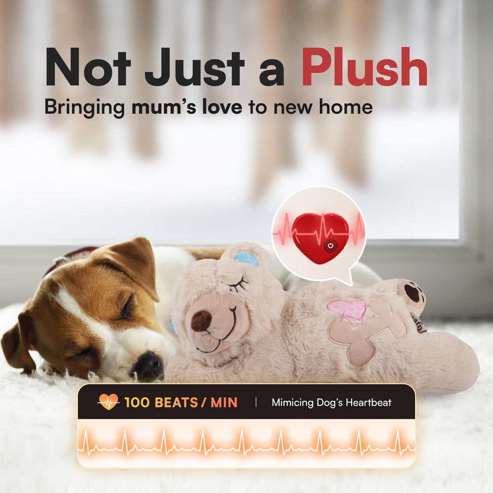 ALL FOR PAWS Heartbeat Puppy toy face detail for comforting crate time