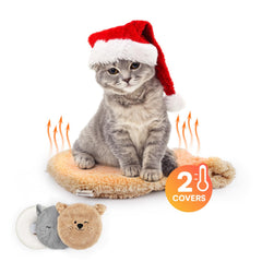 ALL FOR PAWS heated cat bed inside setup delivers cozy warmth for cats