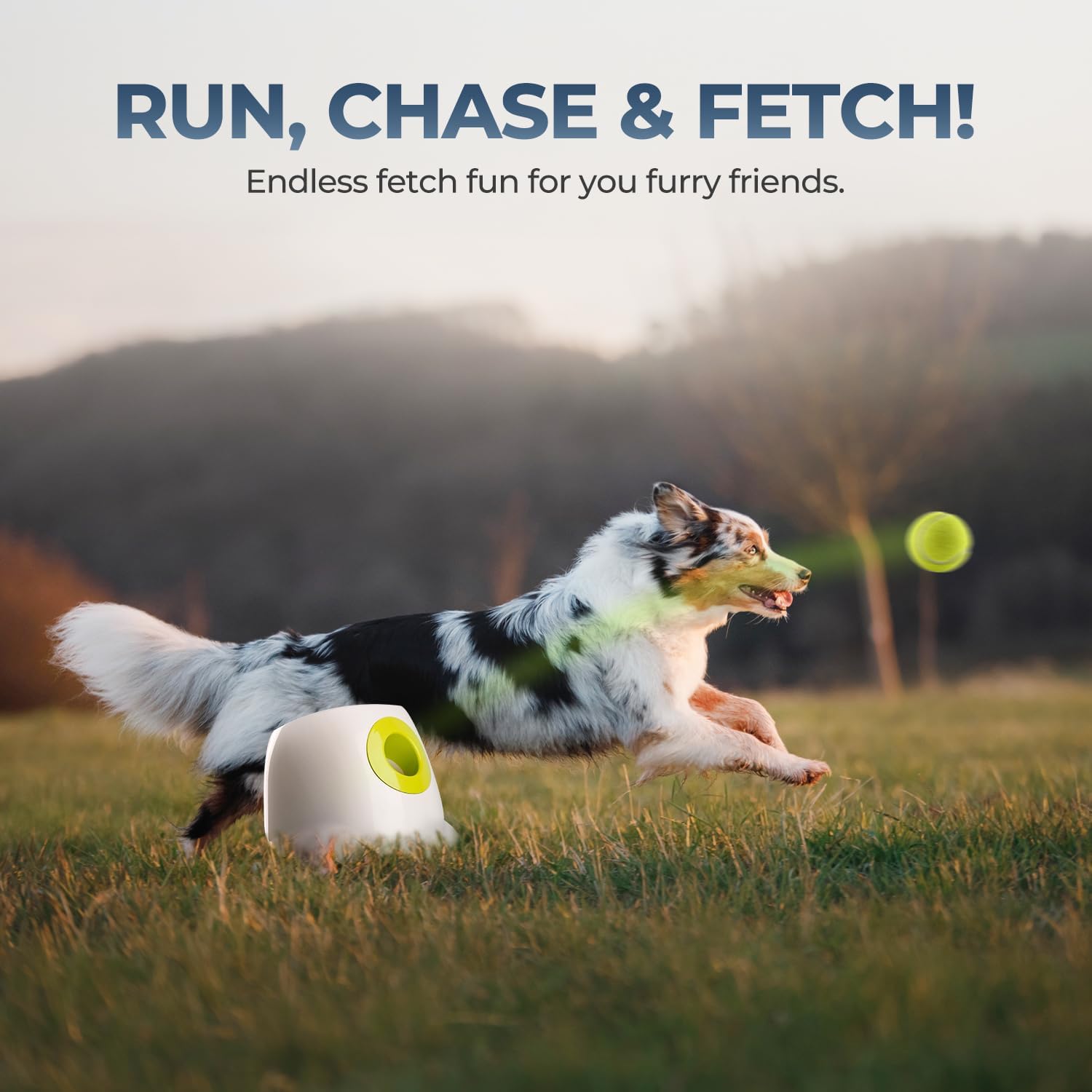 All For Paws launcher suitable for indoor and outdoor fetch sessions