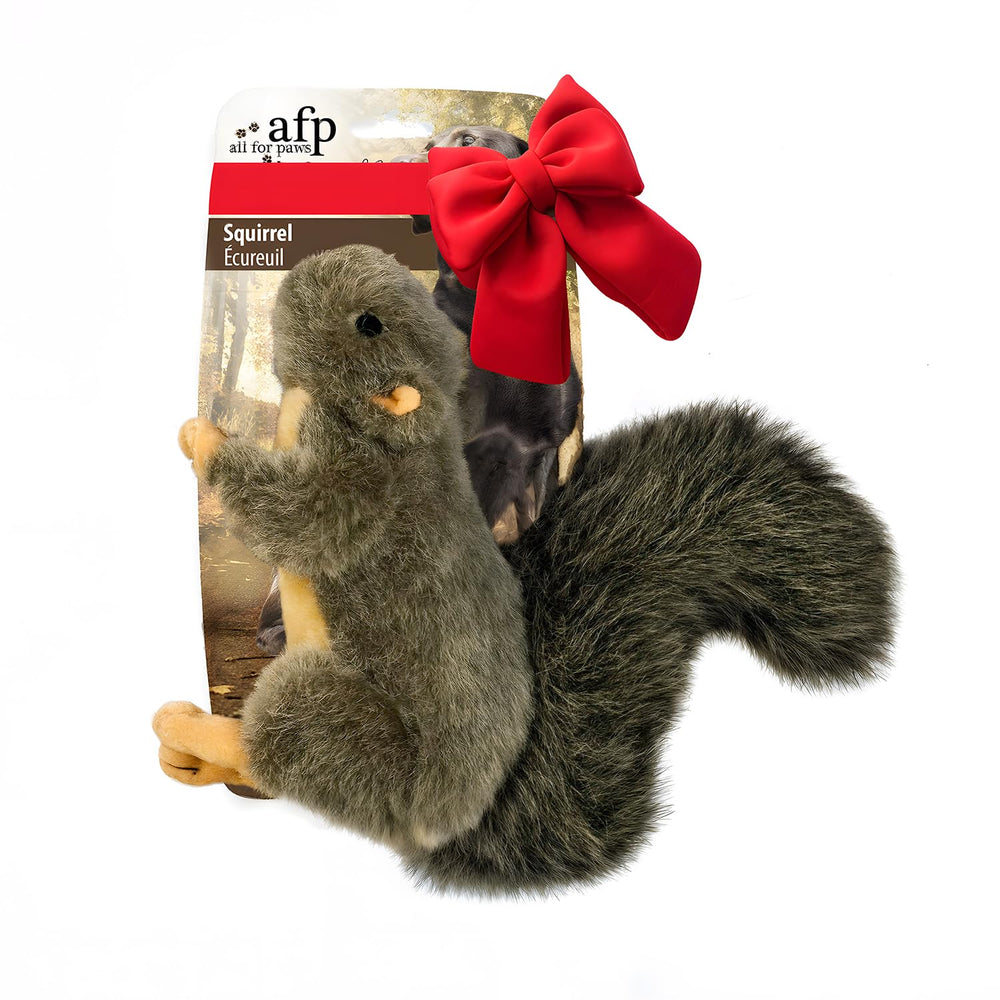 ALL FOR PAWS interactive dog squirrel plush toy front view for enrichment and fetch.