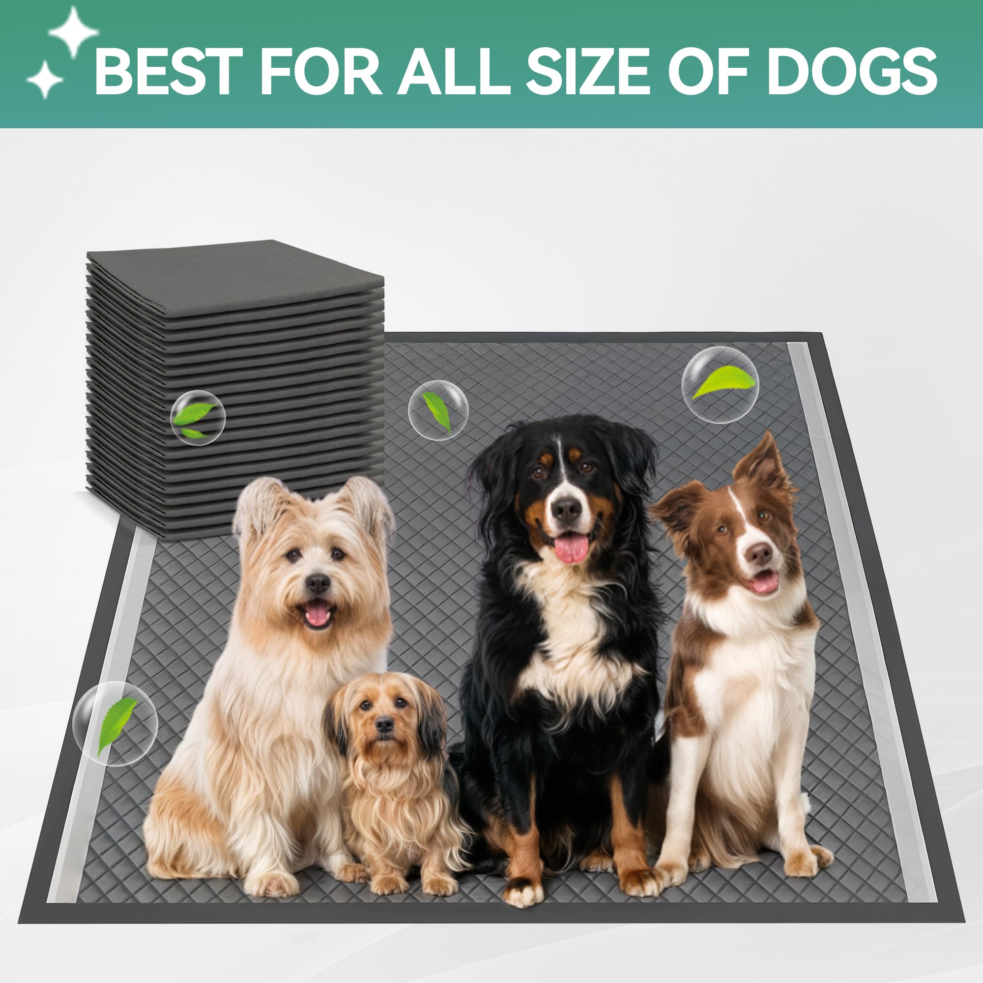 ALL FOR PAWS large 25x25 pee pad holder fits most dogs from puppy to adult.