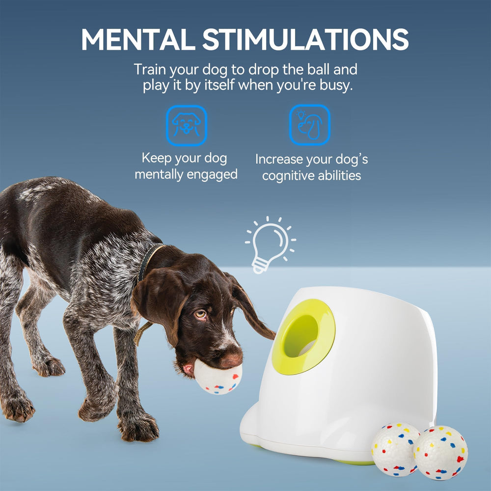 ALL FOR PAWS launcher top view showing compact footprint for indoor or outdoor use.