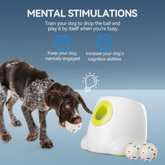 ALL FOR PAWS launcher top view showing compact footprint for indoor or outdoor use.