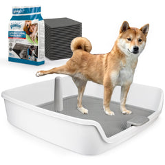 ALL FOR PAWS Pee Pad Holder with grid design keeps paws dry during potty training.
