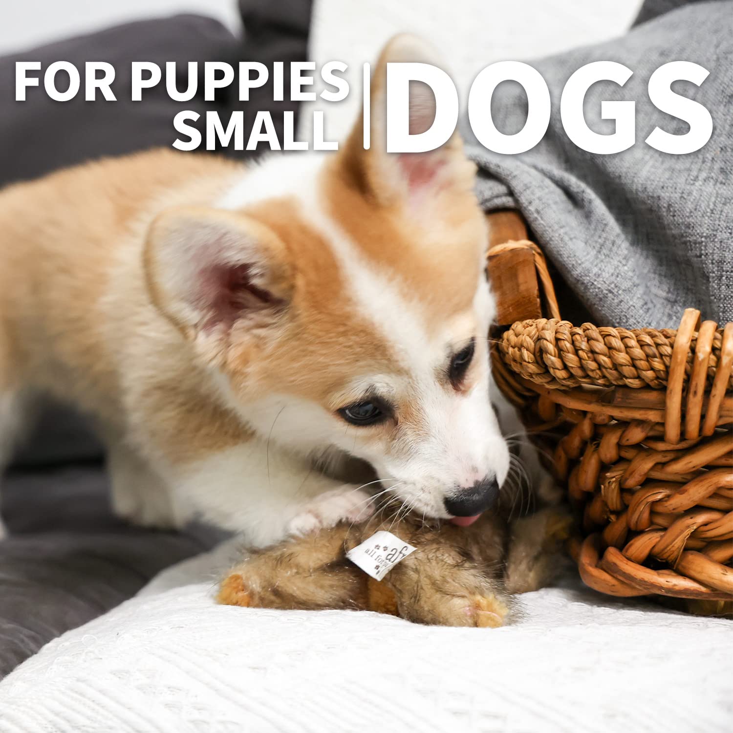ALL FOR PAWS safe non-indestructible reminder for supervised play.