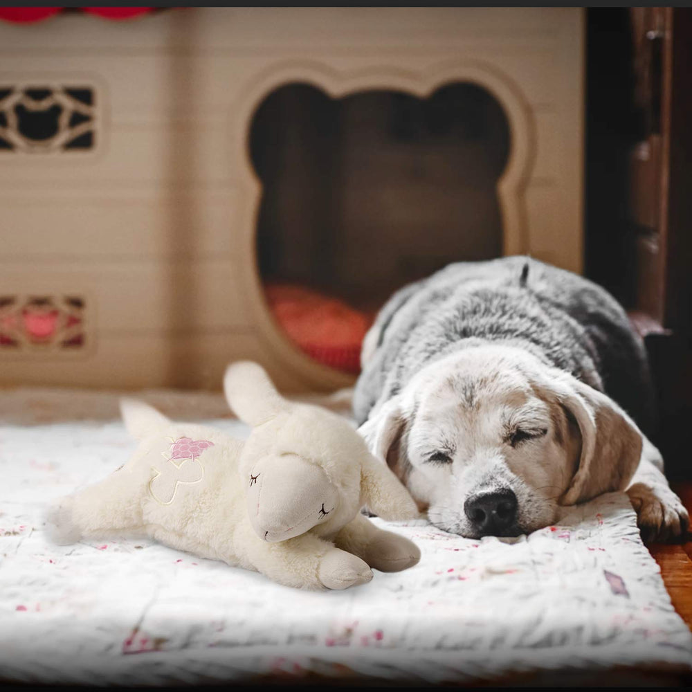 ALL FOR PAWS Snuggle Sheep-satisfaction-guaranteed shows commitment to quality and customer care