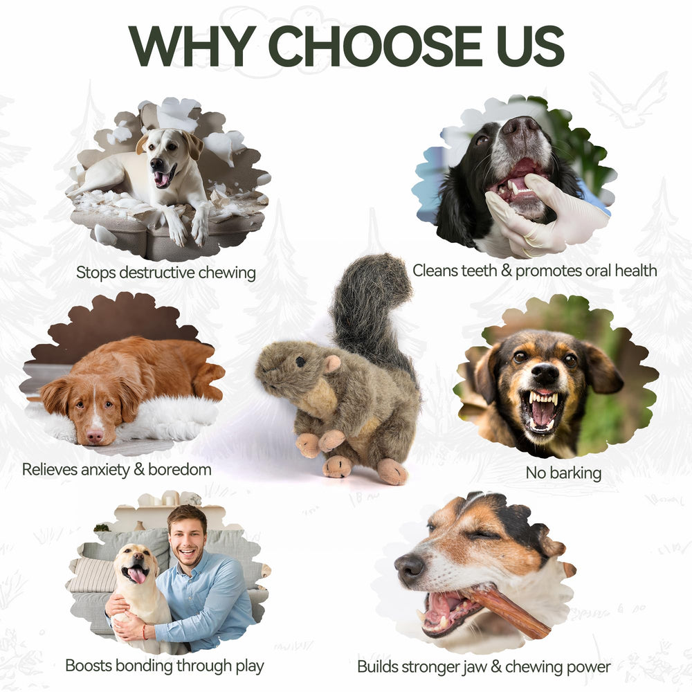 ALL FOR PAWS squeaky dog toy in action encouraging interactive solo play.