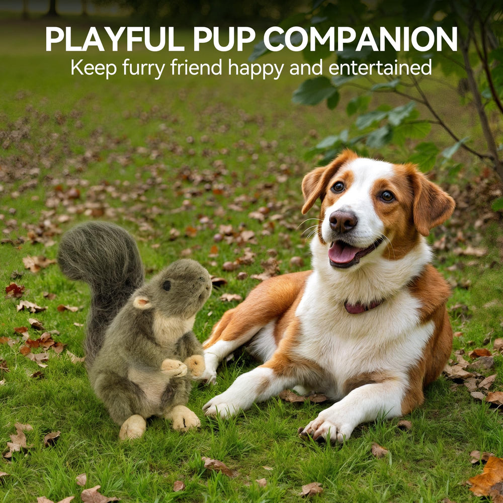 ALL FOR PAWS squirrel toy in action during fetch with audible squeak.