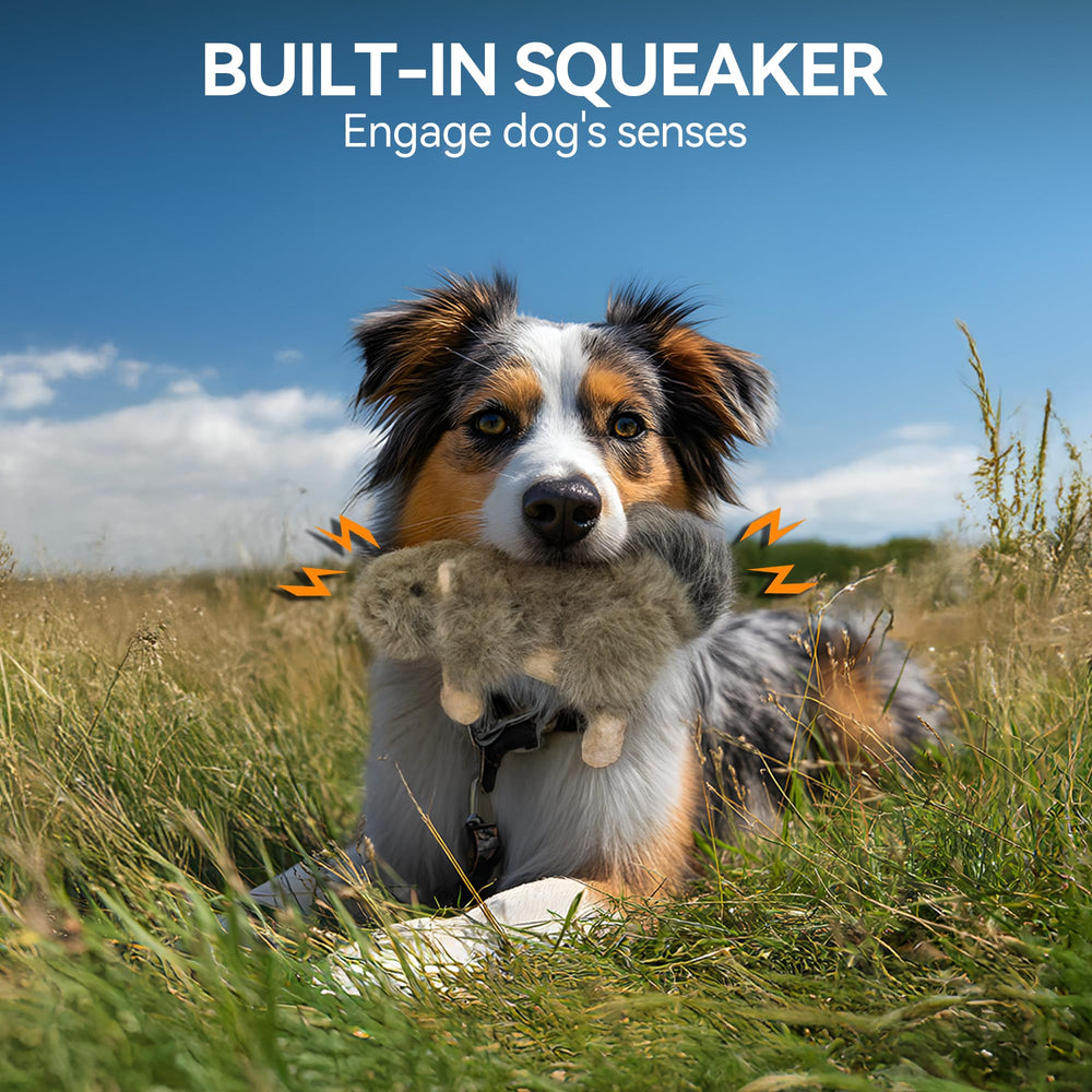 ALL FOR PAWS squirrel toy squeaker close-up highlighting interactive play sound.