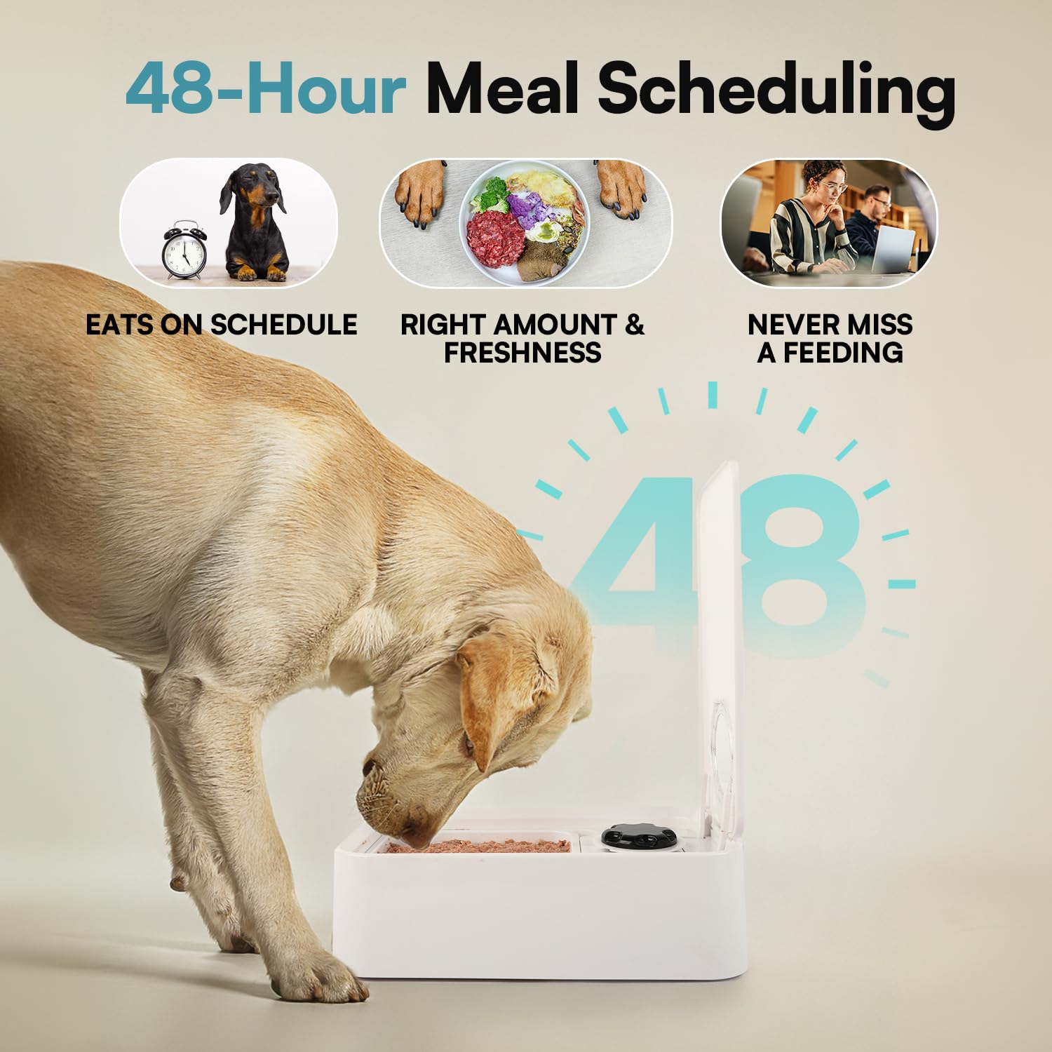 ALL FOR PAWS Timed Dog Feeder dispensing action highlights portion control in use