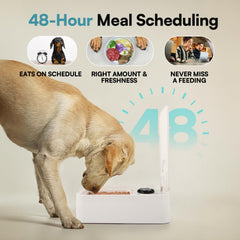 ALL FOR PAWS Timed Dog Feeder dispensing action highlights portion control in use