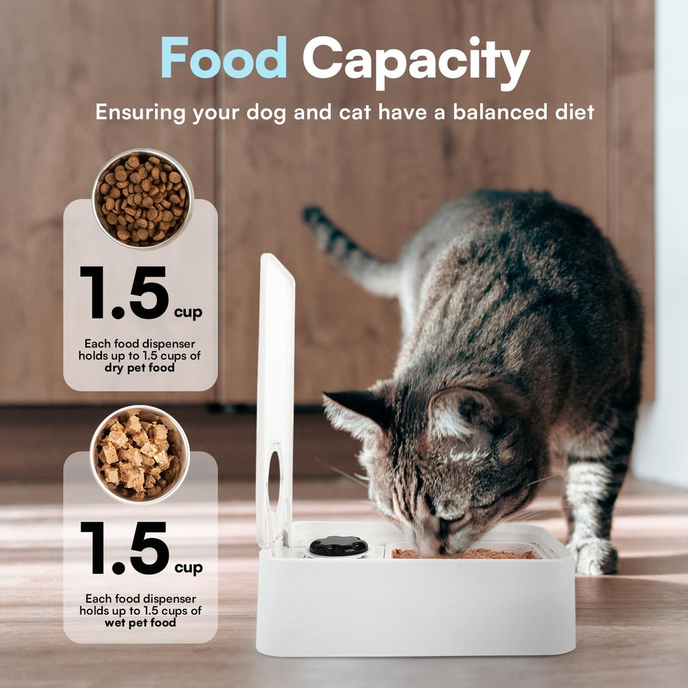 ALL FOR PAWS Timed Dog Feeder programmed schedule graphic illustrates up to four meals