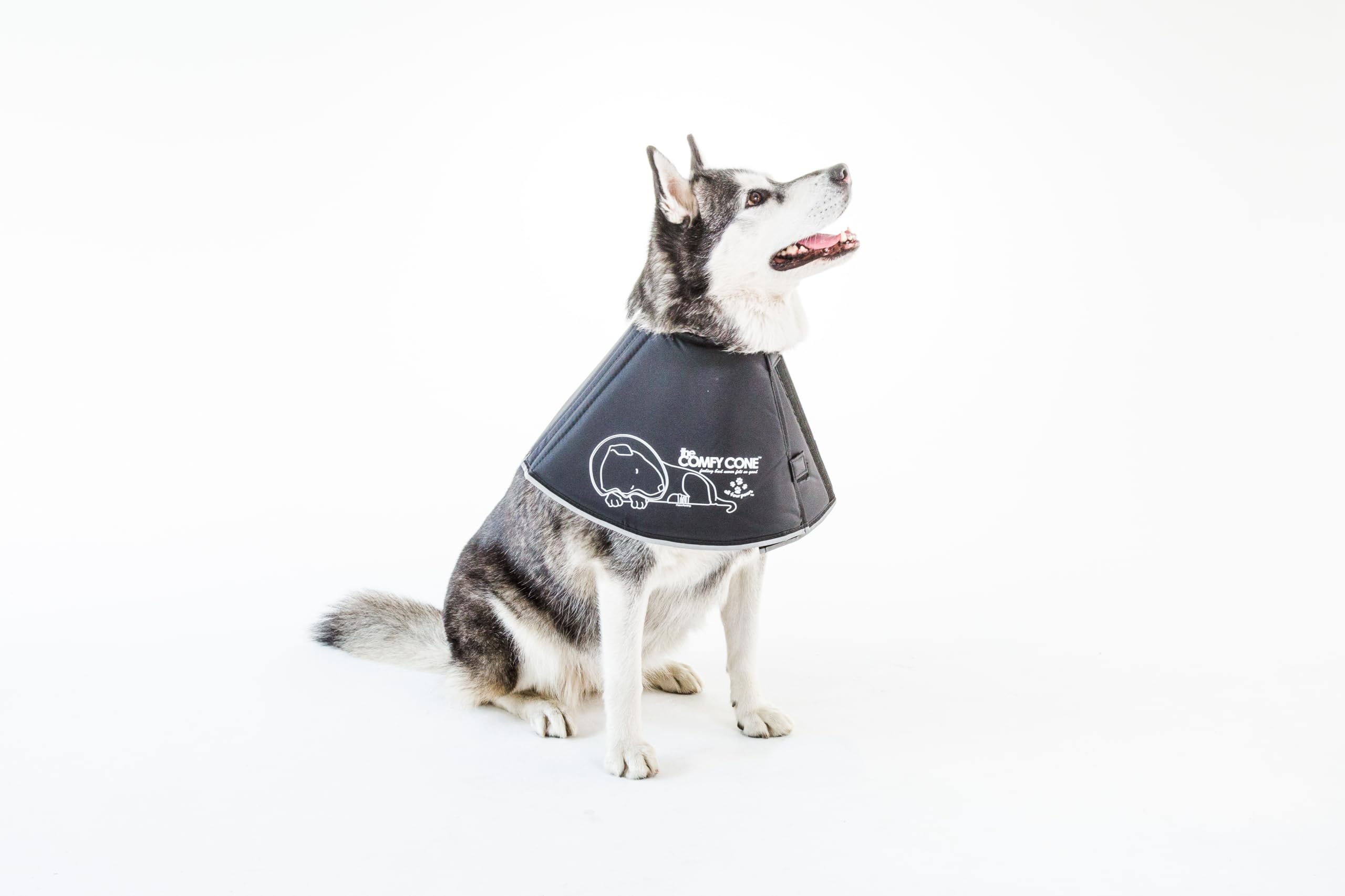 All Four Paws Comfy Cone reflective edge improves nighttime visibility.