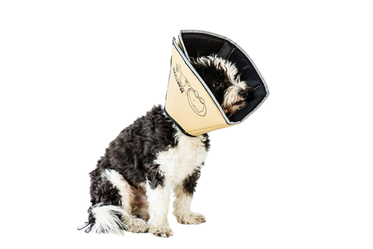 All Four Paws Comfy Cone large tan front view showing soft foam-backed nylon for gentle recovery