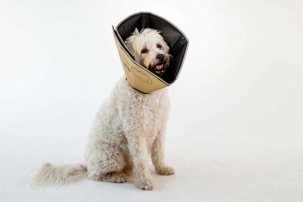All Four Paws Comfy Cone neck collar loop enables secure collar threading