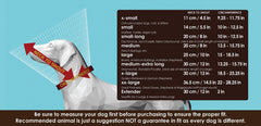 All Four Paws Comfy Cone neck loop shows easy collar threading for a comfy fit