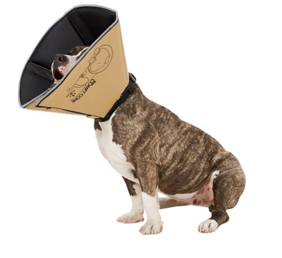 All Four Paws Comfy Cone reflective edge and neck loops for safety