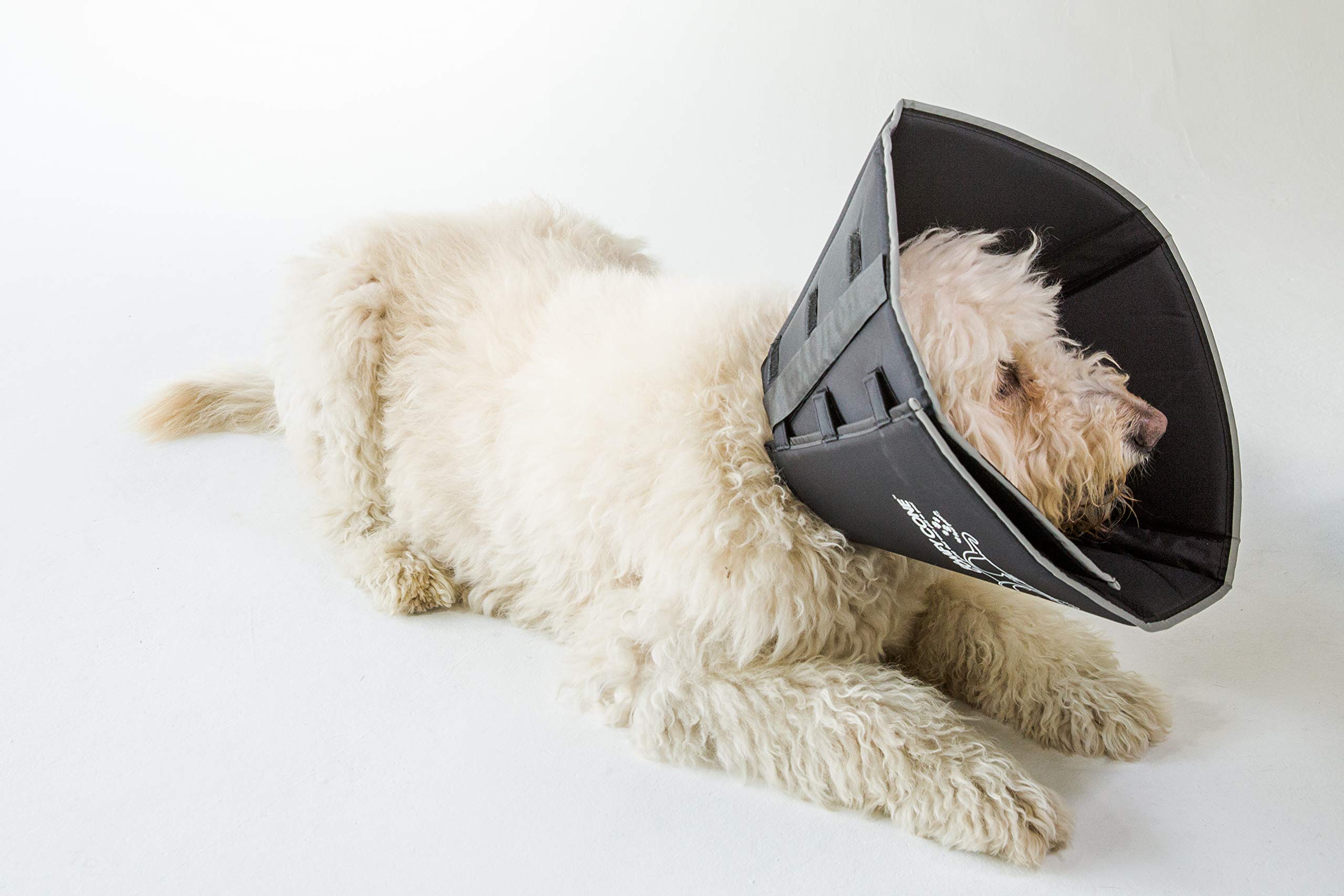 All Four Paws Comfy Cone reflective edge enhances night safety.