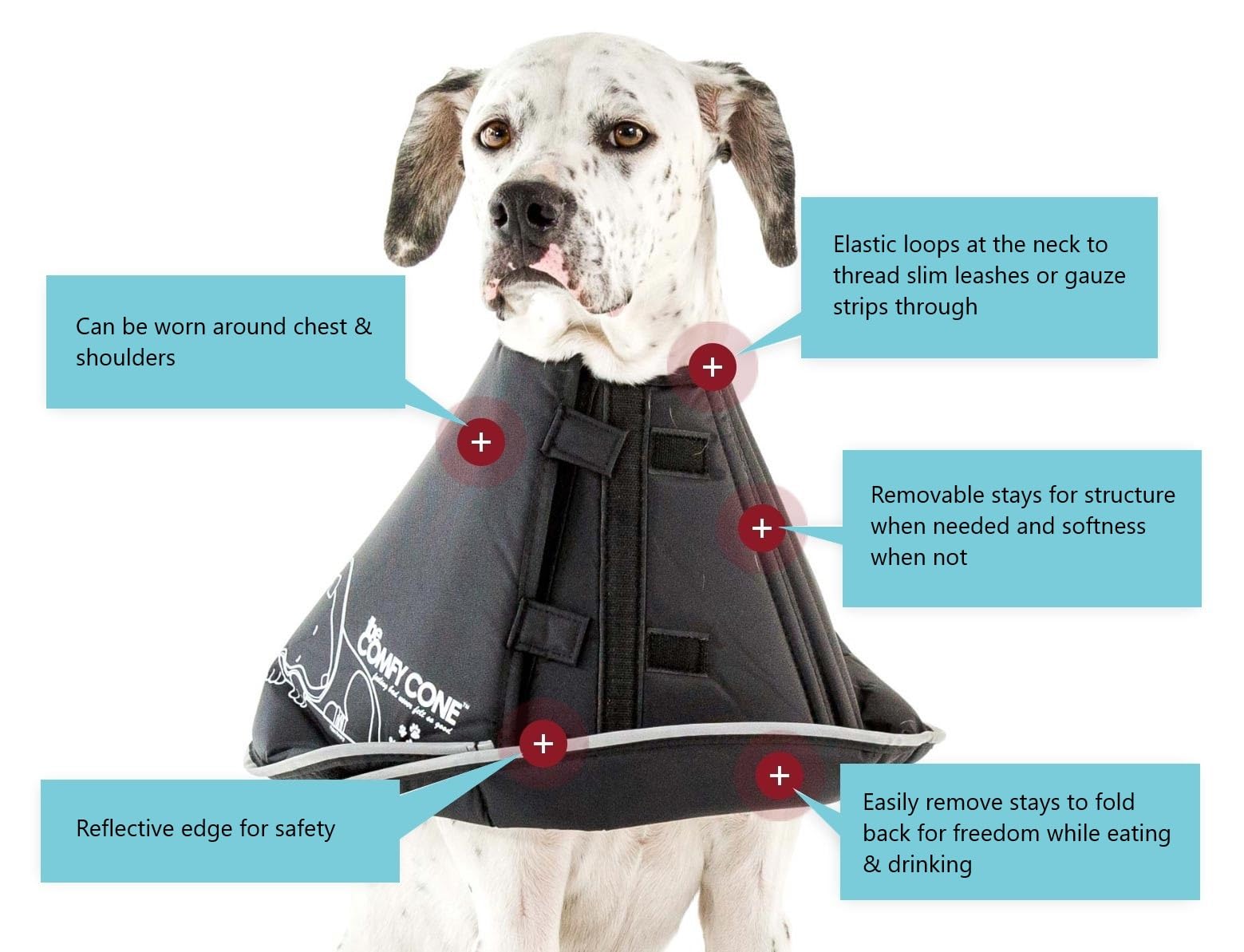 All Four Paws Comfy Cone with reflective edge improves visibility during evening care.