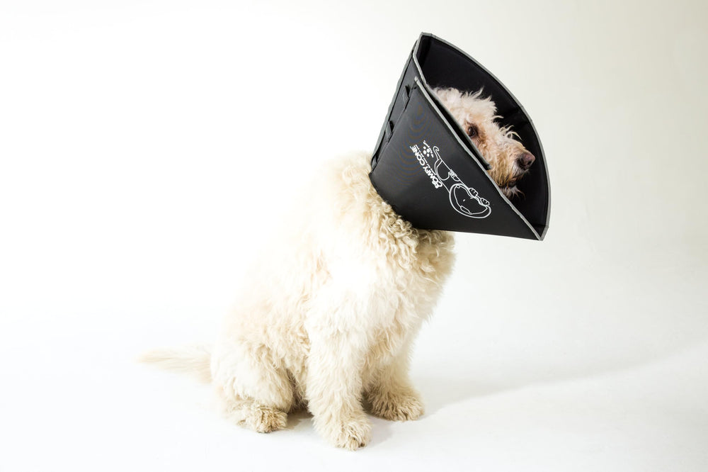 All Four Paws Comfy Cone water-resistant fabric resists messes.
